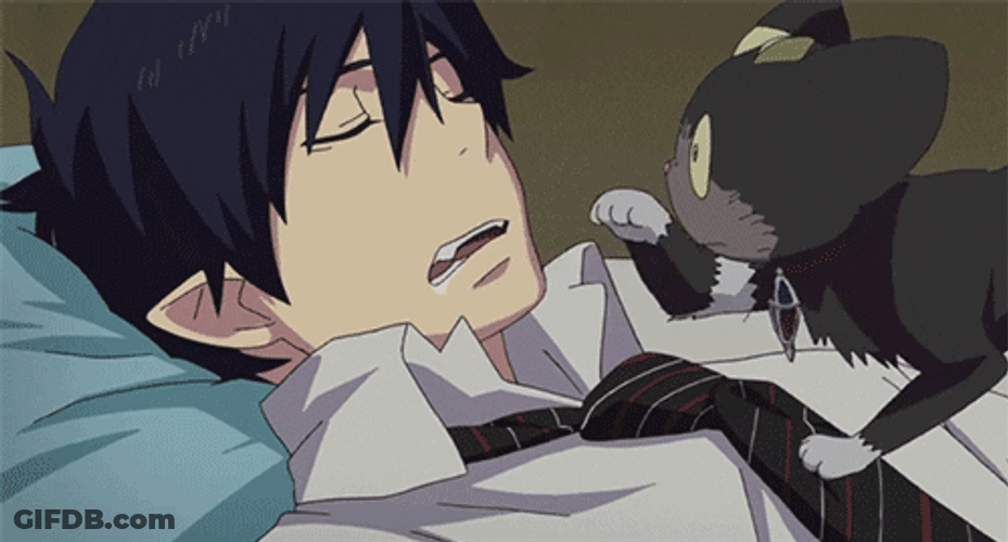Blue Exorcist Wake Up Rin Cat Cute GIF