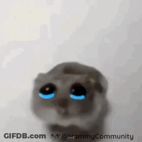 Blue-Eyed Crying Cat GIF