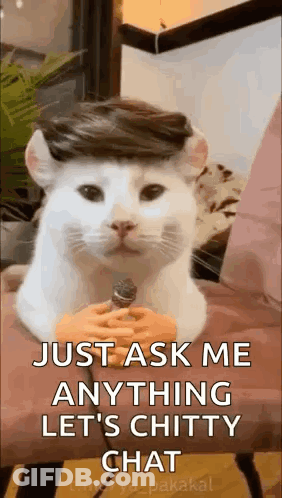 Blue-Eyed Girl Reading Ao No Exorcist Book GIF