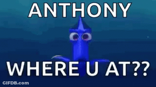 Blue Fish Big Eyes Anthony Where U At GIF