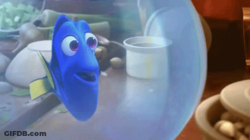 Blue Fish Looking Out Of Water Bubble GIF
