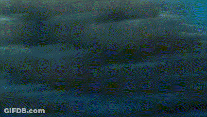 Blue Fish With Big Eyes Swimming Near Coral Reef GIF