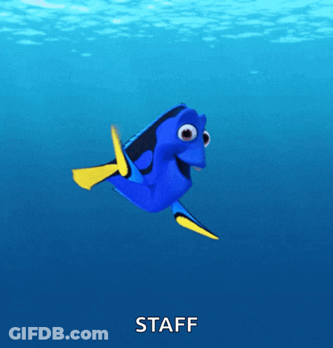 Blue Fish With Yellow Flippers GIF