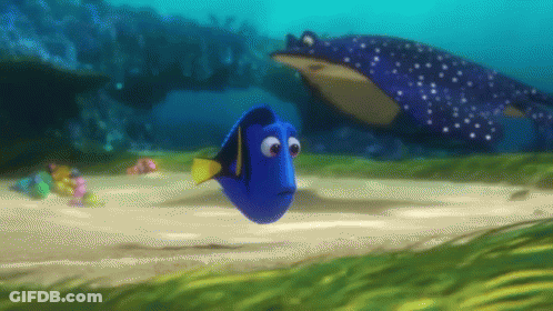 Blue Fish With Yellow Tail GIF