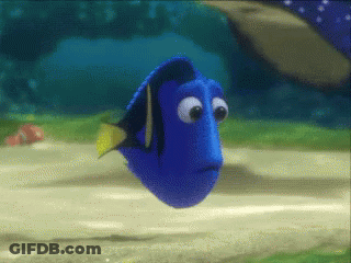 Blue Fish With Yellow Tail Swimming GIF