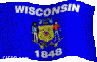 Blue Flag Saying Wisconsin GIF