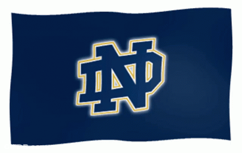 Blue Flag With Glowing ND Logo GIF