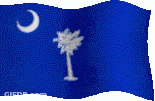 Blue Flag With Palm Tree And Crescent Moon GIF