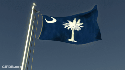 Blue Flag With Palm Tree And Crescent Moon GIF