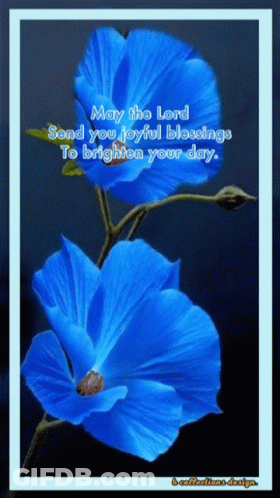 Blue Flower With Joyful Blessings GIF