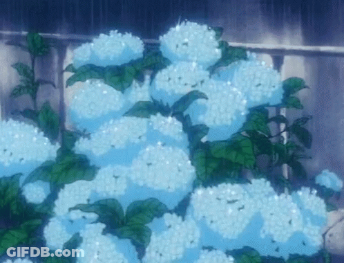 Blue Flowers With Green Leaves In Rain GIF