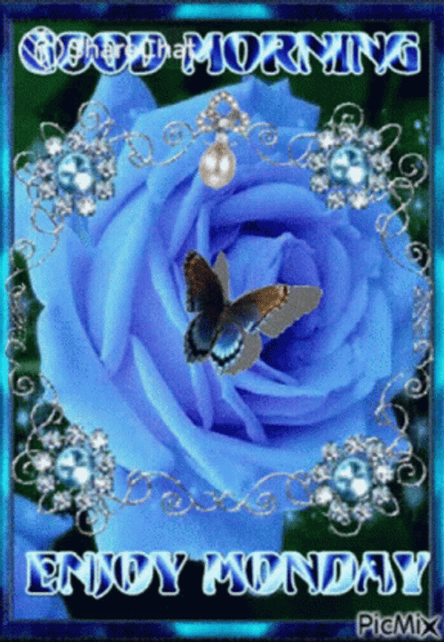 Blue Good Morning Happy Monday GIF