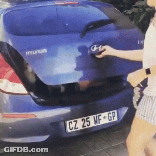 Blue Hyundai Car Plate Cz 25 Wf Gp GIF