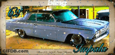 Blue Impala With Words Bling GIF