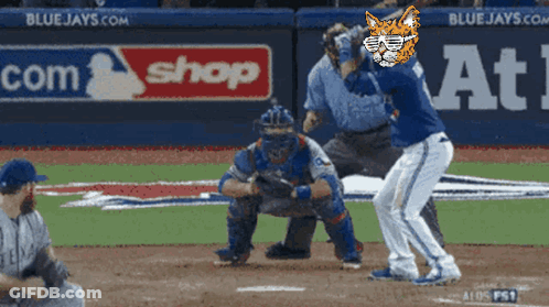 Blue Jays Baseball Game GIF