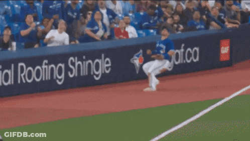 Blue Jays Baseball Player Catching Ball In Front Of Crowd GIF