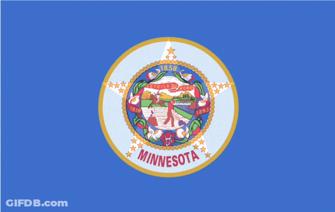 Blue Minnesota State Flag With Star GIF