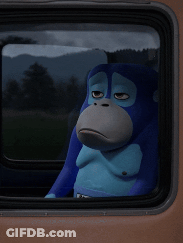 Blue Monkey With Ron Sign In Car GIF