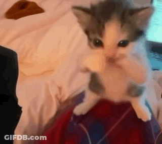 Blue Monster With Pink Bow Tie GIF
