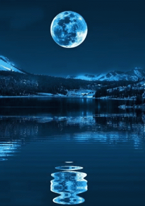 Blue Moon Peaceful Night GIF