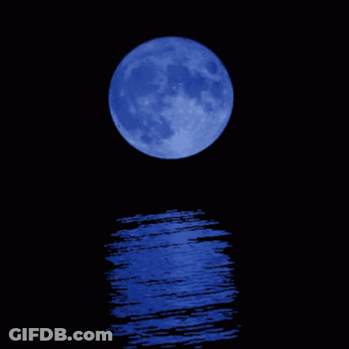 Blue Moon Sea Breeze GIF