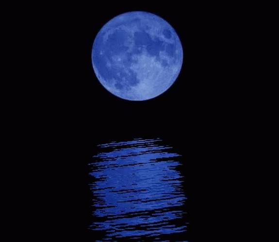 Blue Moon With Peaceful Sea Breeze GIF