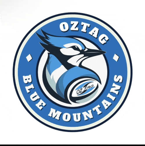 Blue Mountains Oztag Meme GIF