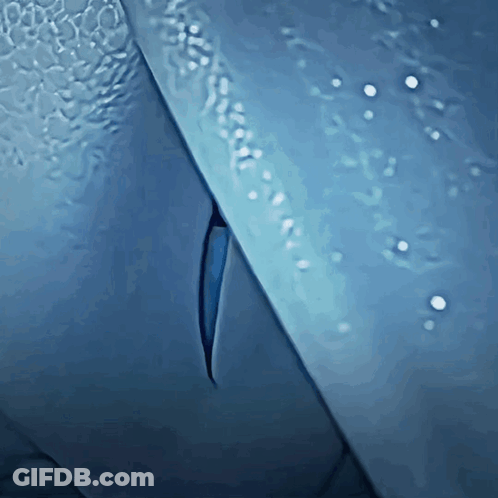 Blue Object With Hole GIF