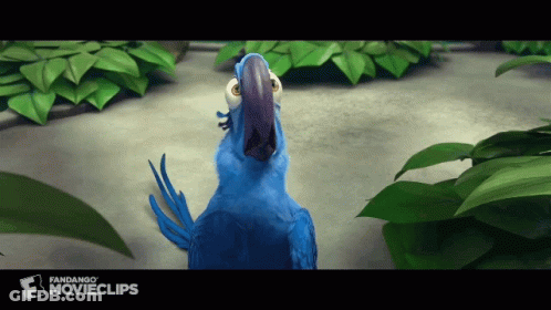 Blue Parrot From Rio Standing In Front Of Green Leaves GIF