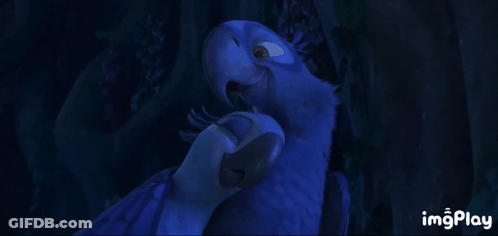 Blue Parrot In Dark Room With Imgplay GIF