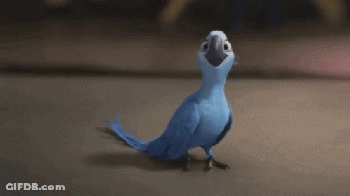 Blue Parrot Saying For Me GIF