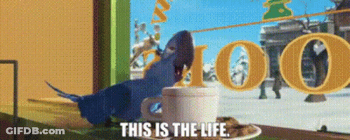 Blue Parrot Sits Next To Coffee Saying This Is The Life GIF