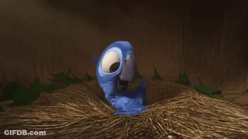 Blue Parrot Sitting In Straw GIF