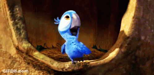 Blue Parrot Sitting In Tree Hole GIF