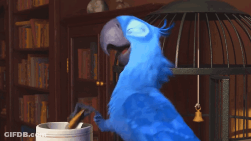 Blue Parrot Standing In Front Of Bird Cage GIF