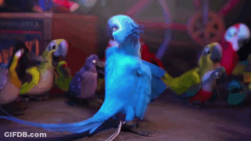 Blue Parrot Standing In Front Of Group GIF