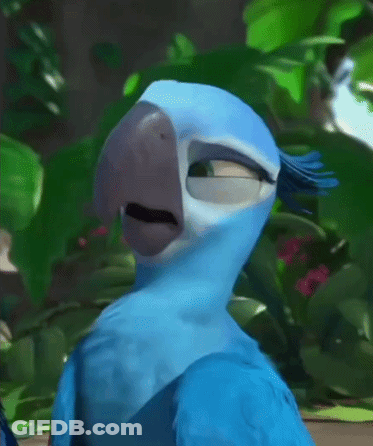 Blue Parrot Standing In Jungle Looking At Camera GIF