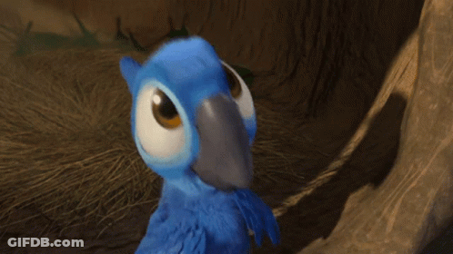 Blue Parrot With Big Eye And Gray Beak GIF
