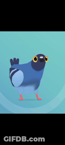 Blue Pigeon With Big Yellow Eyes Walking GIF