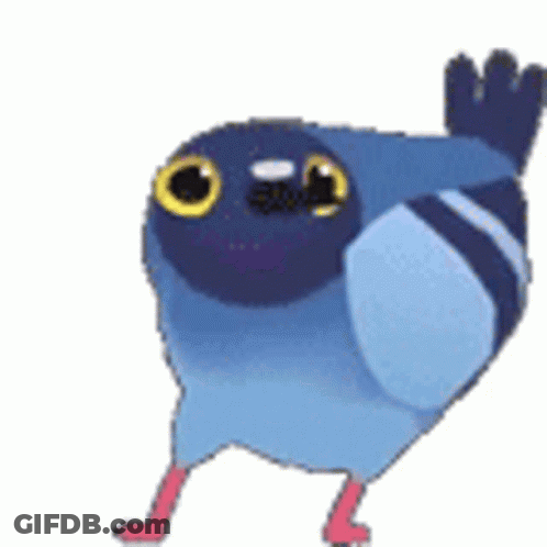 Blue Pigeon With Yellow Eyes GIF