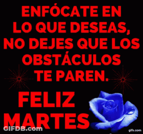 Blue Rose Feliz Martes GIF