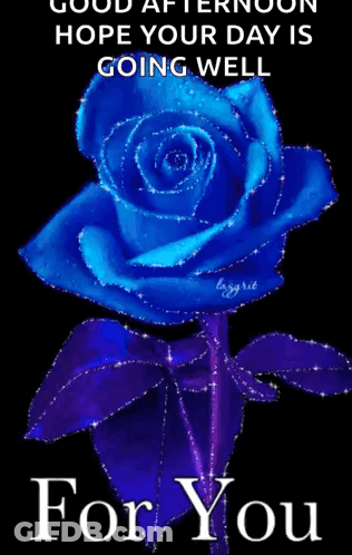 Blue Rose Good Afternoon Hope Your Day Is Going Well GIF