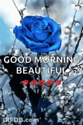 Blue Rose Good Morning Beautiful GIF