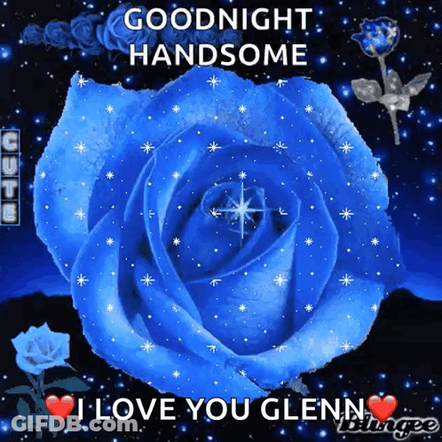 Blue Rose Goodnight I Love You Glenn GIF