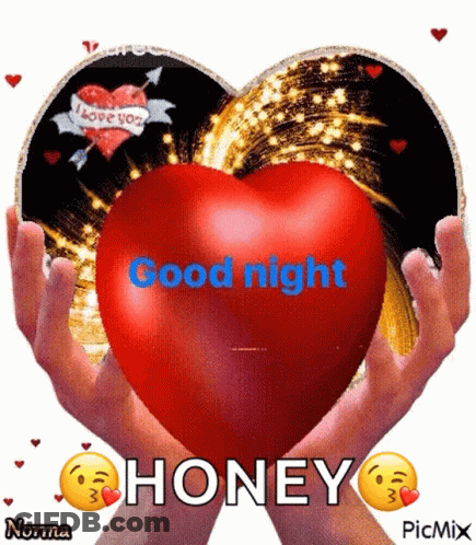 Blue Rose Goodnight I Love You Glenn GIF