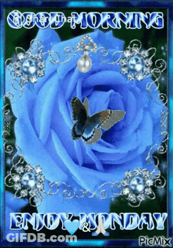 Blue Rose Saying Good Morning Enjoy Monday GIF