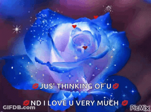 Blue Rose Saying Just Thinking Of You I Love You Very Much GIF