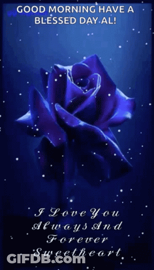 Blue Rose Special Good Morning GIF