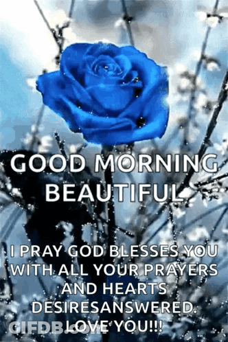 Blue Rose With Good Morning Message GIF