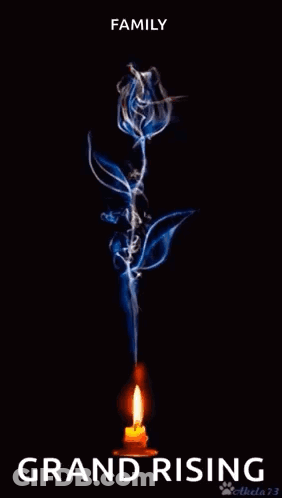 Blue Rose With Smoke Surrounded By Candle GIF